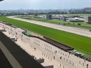ペッパーランチ 東京競馬場店