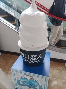 羊ヶ丘ソフト