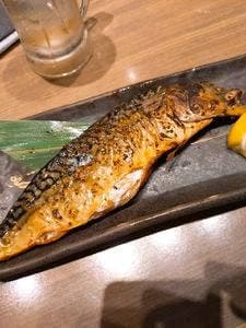 さかなや道場 新潟駅前1号店