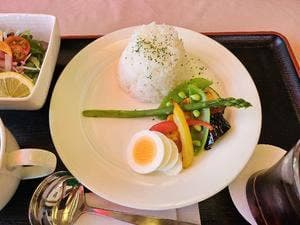 梅の庭