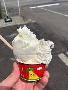 Gelateria the GreenGrass