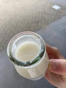 発酵の里 こうざき 発酵市場