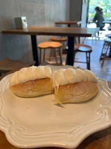 ドロゲリア サンクリッカ