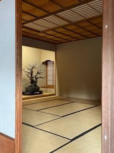 鳥和