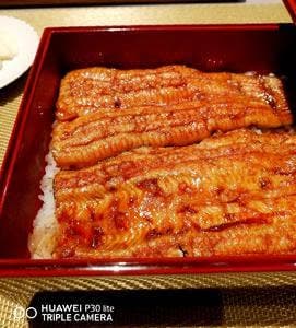うなぎ料理 山道