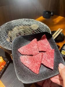 炭火焼肉 チョイス