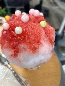 Setouchi Hidamari Kakigori 鷺沼支店