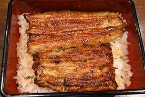 新宿 うなぎ菊川