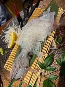 呼子活イカ・五島サバ・もつ鍋 いっ得家
