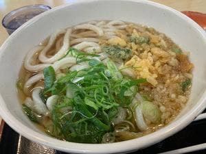 手打ちうどん ちよ志 本店