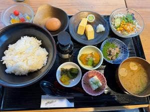 エキマエノ駱駝