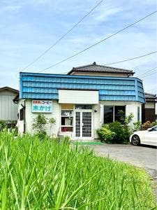 木かげ