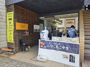 ほやっ停 とやま