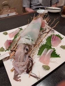 竹茂