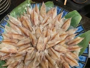 美食遊膳 あまの家