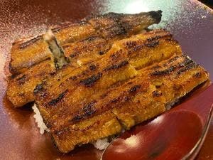 炭焼鰻 寝床 福島店