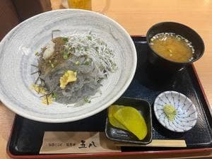 しらす丼 海鮮丼 五八