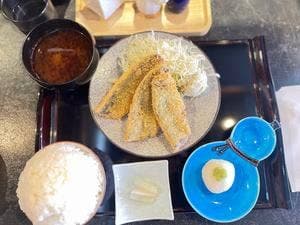 アオザカナニコイヲシタ