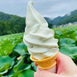 こう太郎のあいす屋さん