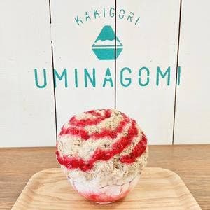 かき氷専門店 uminagomi