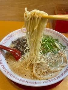島くん