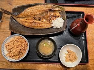 一夜干しと海鮮丼 できたて屋 サッポロファクトリー店