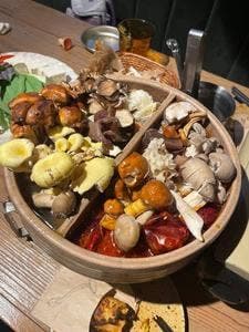 裏の山の木の子 渋谷店