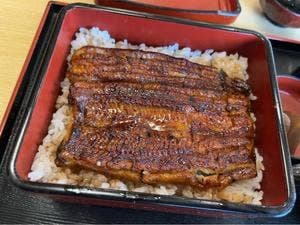 桜新町うなぎ川信