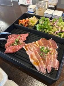 ウシガシラセル