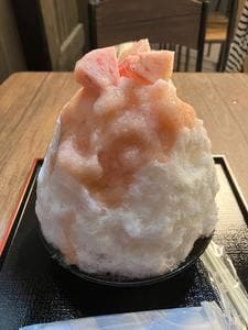 フクロウの森