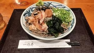 乱切り蕎麦と天丼 一の井