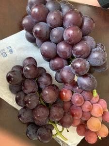 ハーブワールドAKITA レストラン