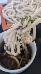 さんさろうどん