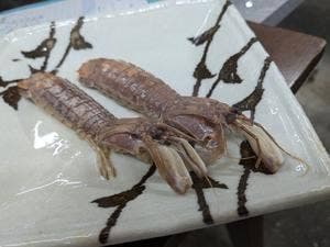 錦屋サイトウ 俺のどんぶり GKS