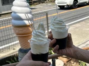 佐倉 金子牧場