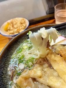 葉隠うどん