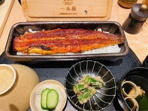 うなぎ四代目菊川 東京駅黒塀横丁店