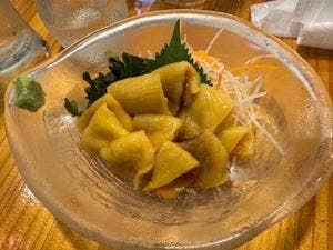 三陸 漁灯