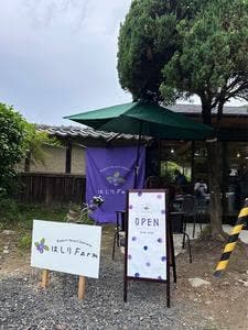 はしりFarm 農家カフェ