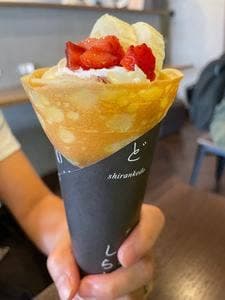 アイス屋さん。しらんけど