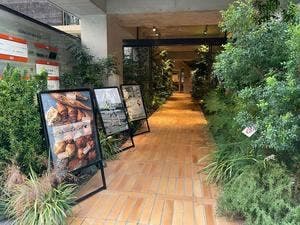 Boulangerie Le Ciel