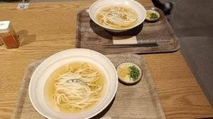 うどん いりこのお出汁