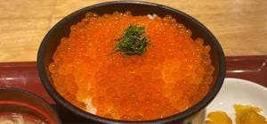 海へ 南3条店