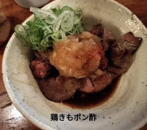炭火焼鳥ひよこ家