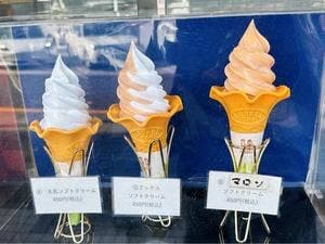 川越PATATE蓮田SA店