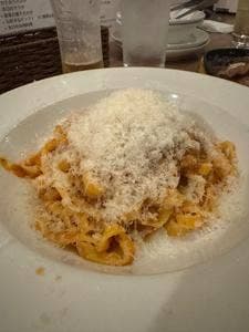 NAPOLI 新潟駅南けやき通り