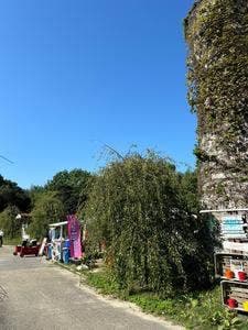 BBQ CANVAS ヒラバリ