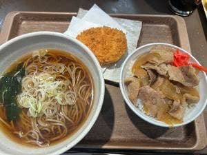那須高原SA めんや芽吹き