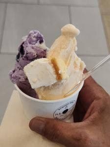 Premium Gelato ハレTerrace 豊洲店