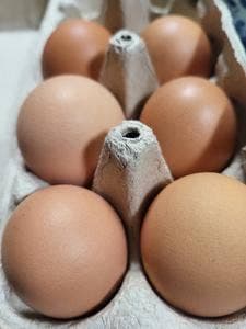 お土産処 かやの里